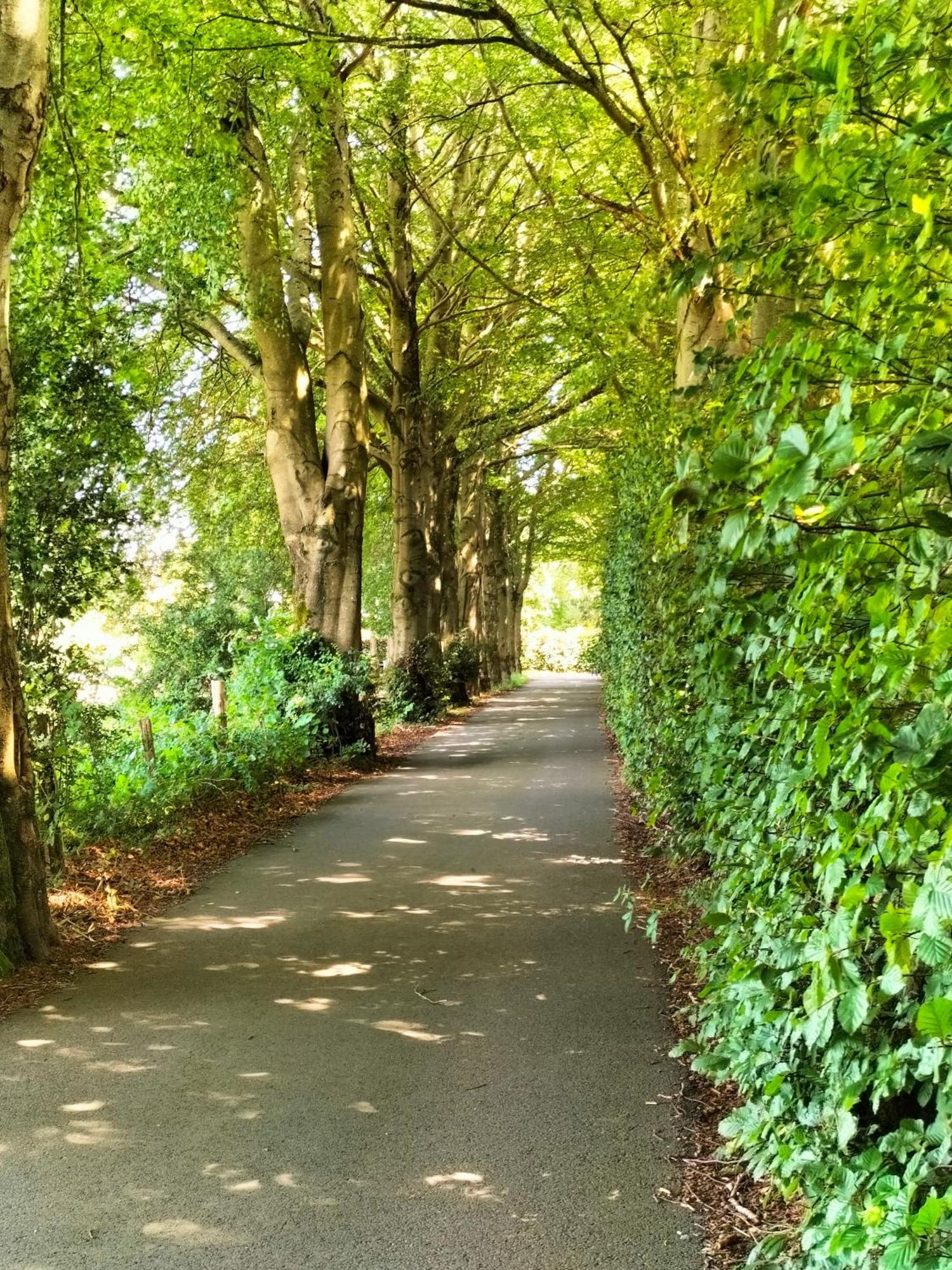 Les Adrets De Malmedy